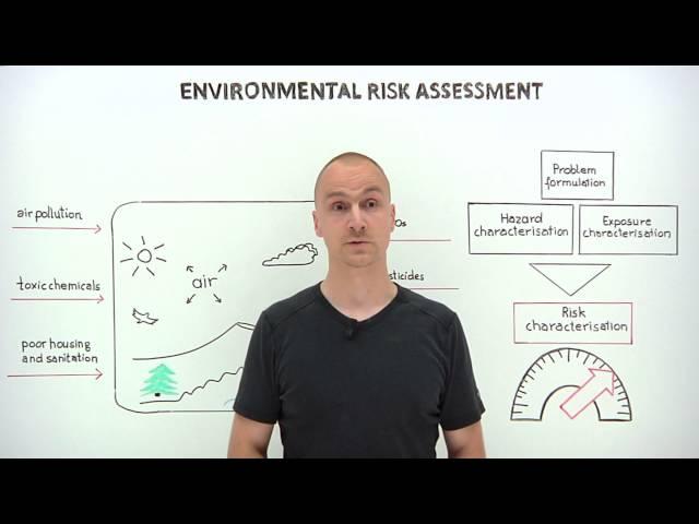 What is environmental risk assessment?