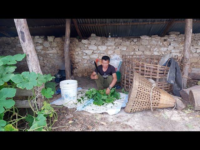 bhumi cooking fodder for pig || Bhumi family in the village || @bhumicooking