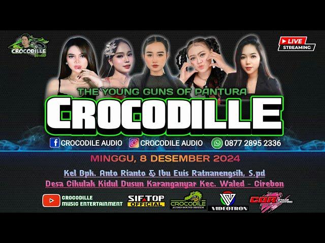 Live The Young Guns Of Pantura "CROCODILLE" Ds. Cikulak Kidul, Waled - Cirebon | 8 Desember 2024