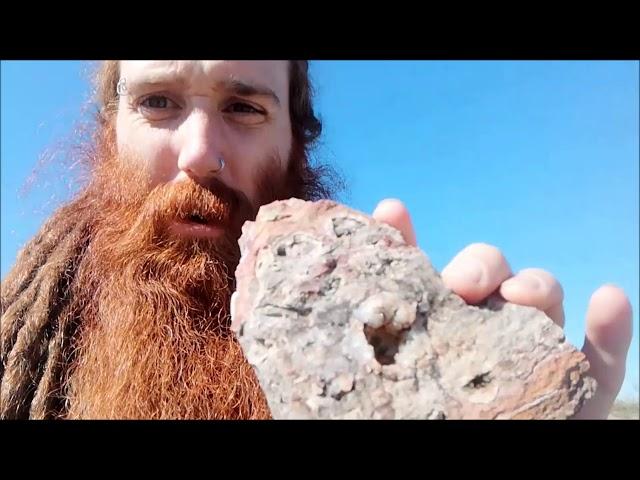 Rockhounding Mushroom Rhyolite || AZ, USA
