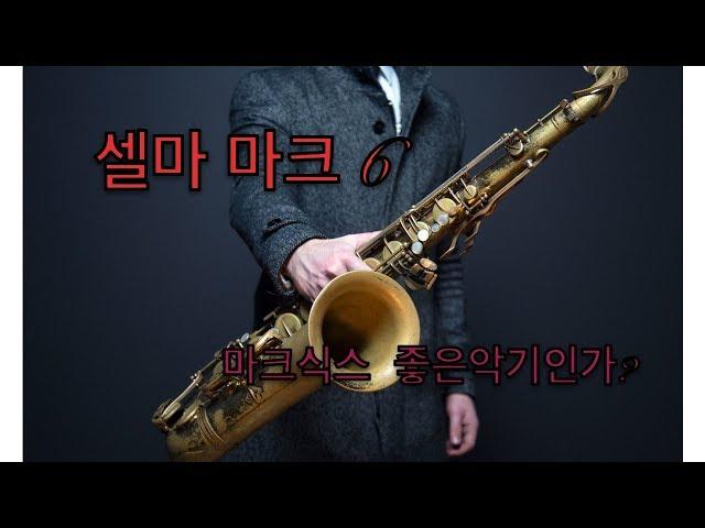 마크식스 좋은 악기인가? 셀마 마크식스  #27