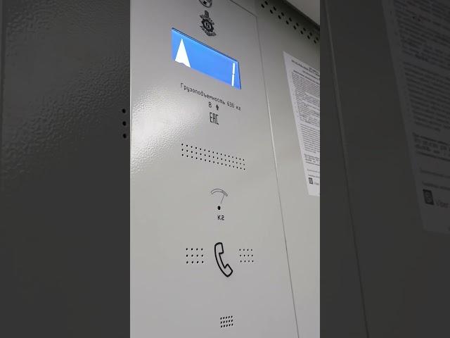 13 мая 2025 г.