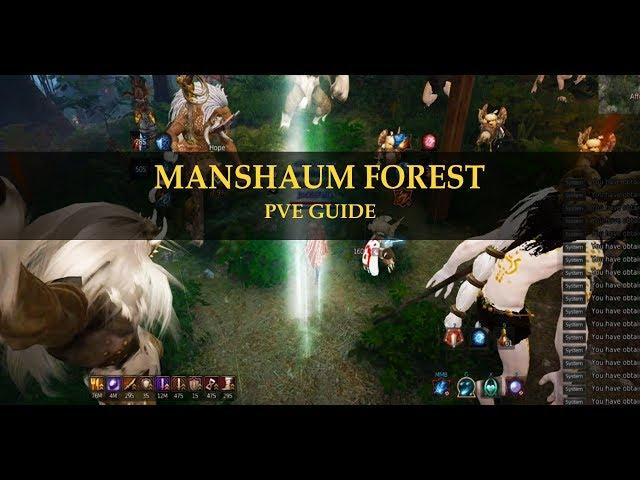 BDO Manshaum Forest PvE Guide [2019 Edition]