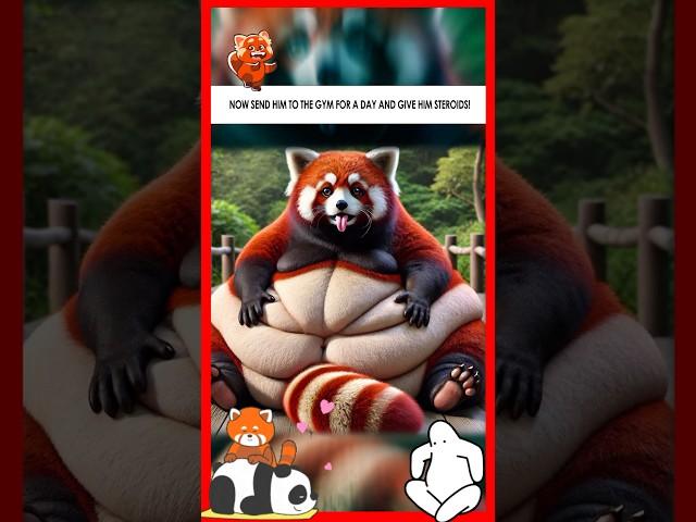  From Frail to Fierce: Red Panda’s Epic Transformation | Nature’s Fitness Journey