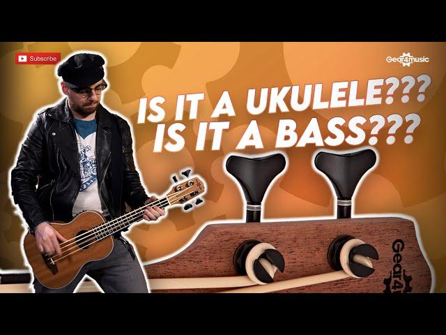 3 Reasons why you should try a Ukulele Bass! | Gear4music Guitars