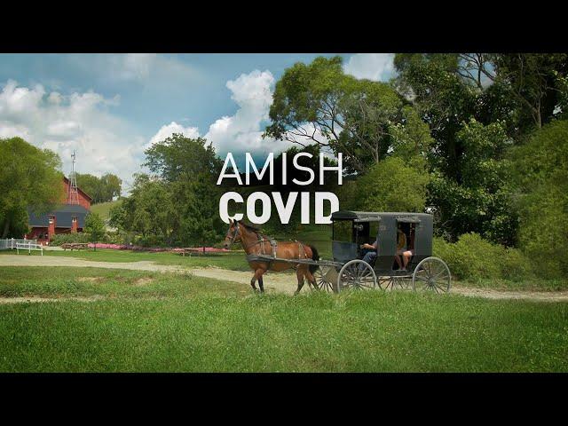 Amish Covid Update