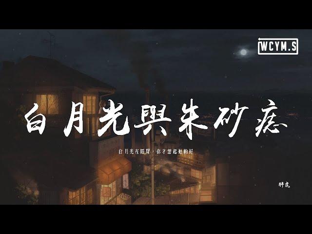 胖虎 - 白月光與朱砂痣「白月光在照耀，你才想起她的好」【伴奏和声带视频】【動態歌詞/pīn yīn gē cí】