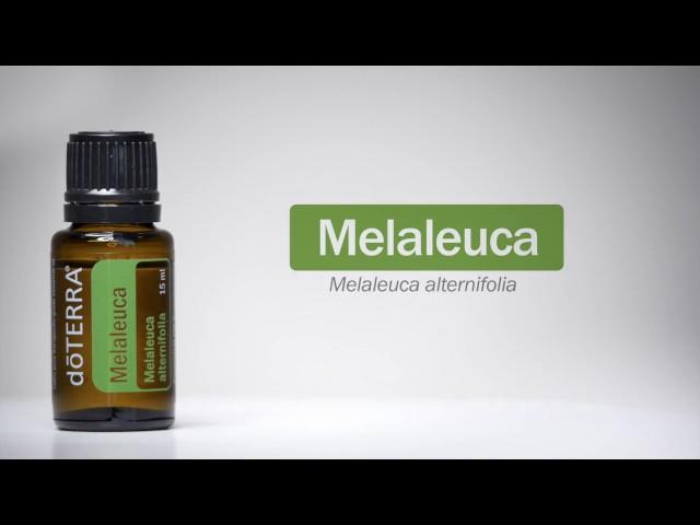 doTERRA Melaleuca Oil