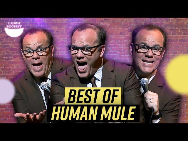 Best of Tom Papa - Human Mule