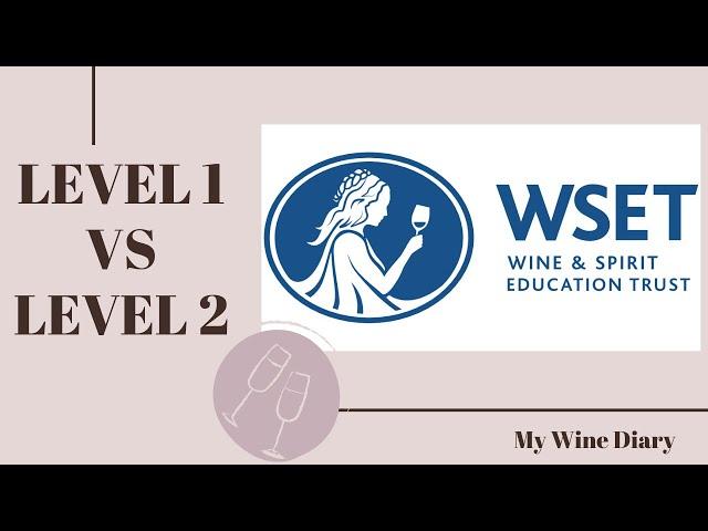 WSET Level 1 vs Level 2: Which Wine Certification is Right for You?
