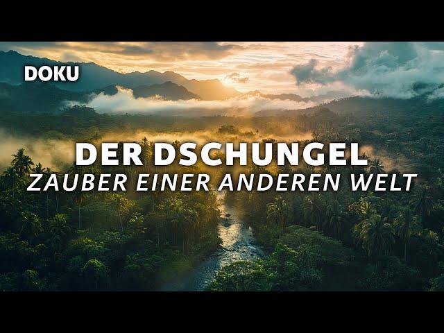 The Jungle - Magic of Another World (full nature documentary | German)