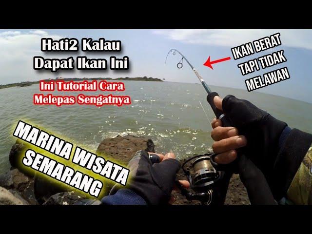 2 Tahun Ga Kesini Sejak Pandemi Dapat ikan Aneh