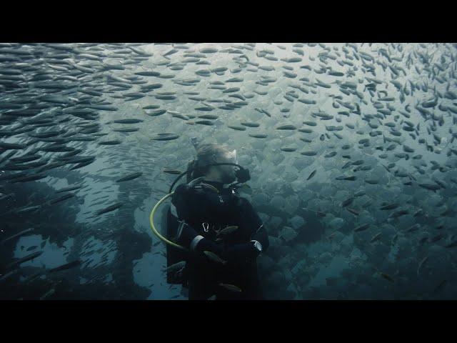Why IMarEST? | Oceans of Opportunity