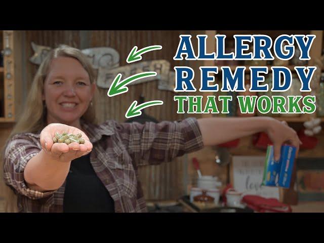 Throw away your Allergy Meds (Easy Herbal Allergy Remedy that really Works)