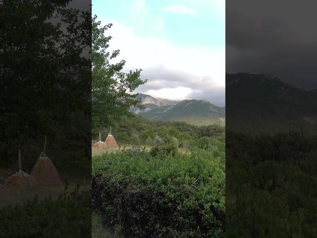 Природна краса Чорногорії #hsort #shortsvideo #travel #montenegro