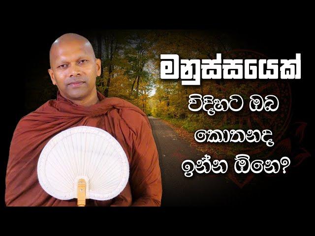 මනුස්ස‍යෙක් විදිහට ඔබ කොතනද ඉන්න ඕනෙ? | Niwana Soya | Niwathapa Thero #bana #darmadesana #budubana