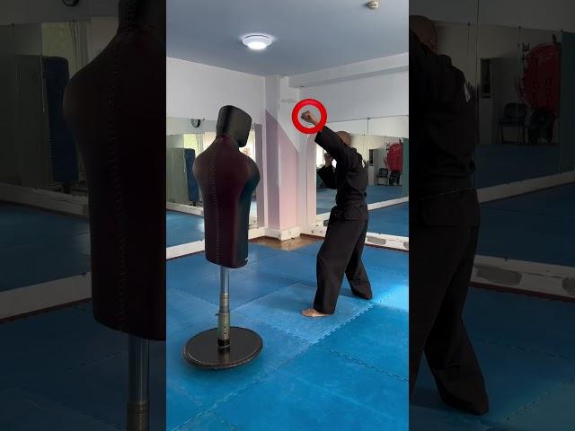 Tutorial: Revers side kick  #lesson #kickboxing #taekwondo #fighter #training #funny