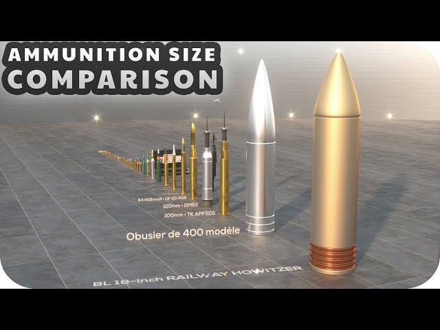 Ammunition Size Comparison (3D)