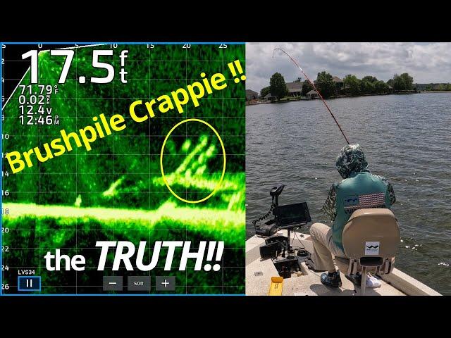 BRUSHPILE CRAPPIE FISHING LIVESCOPE!!