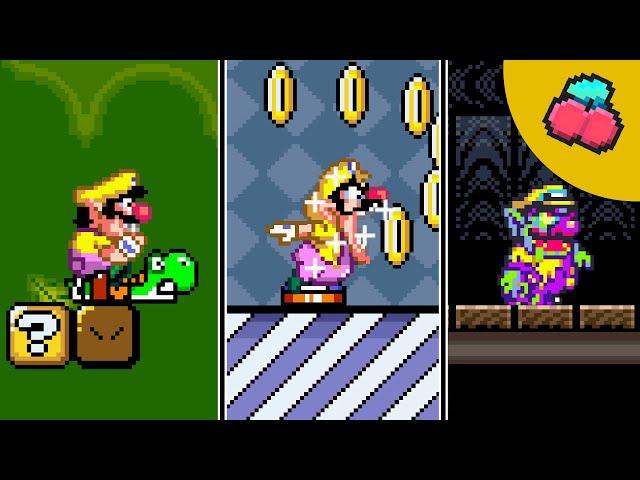 Super Wario World (Animation)