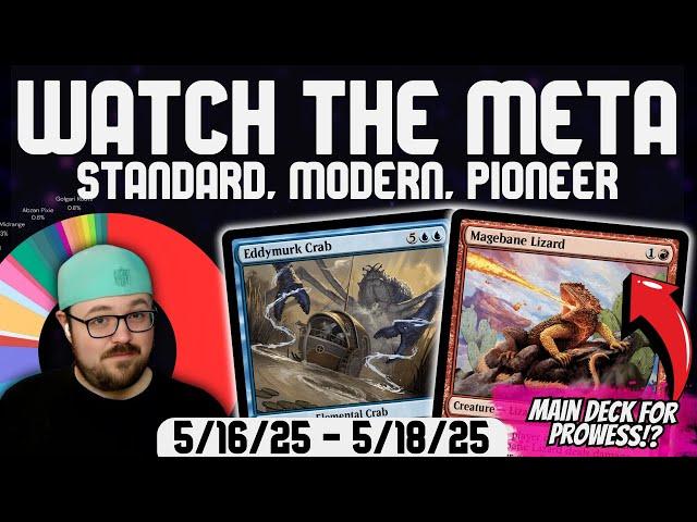 Watching The Meta: 5/16/25 - 5/18/25 | MTG Metagame Analysis
