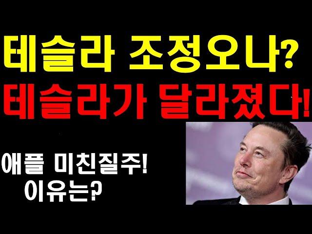 테슬라 조정오나? 테슬라가 달라졌다! 애플 미친질주 이유! 4조달러 임박! 눈속에서도 달리는 자율주행! 사람보다 났다! 매가팩 아시아 시장 확장! 테슬라 4분기 보다 이것에 더기대