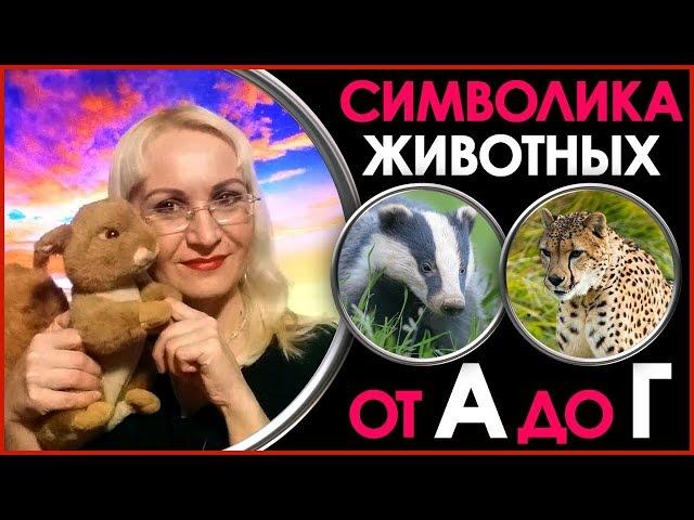 Символика Животных. Что Символизируют Животные? Символическое Значение Животных от А до Г. Символика