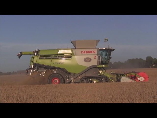 Harvesting on Svenstorp Castle 2017