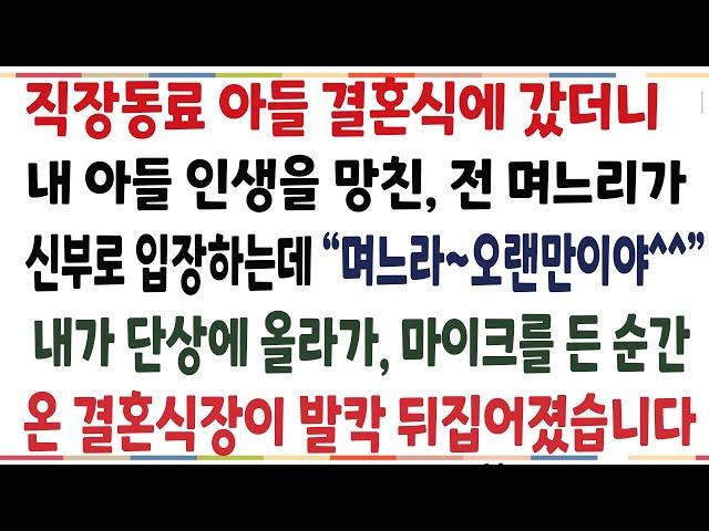 (반전신청사연)직장동료 아들 결혼식에 갔더니, 내 아들 인생을 망친 전 며느리가 신부로 입장하는데! 내아들 대신, 내 모든걸 걸고 되갚아줬습니다[신청사연][사이다썰][사연라디오]