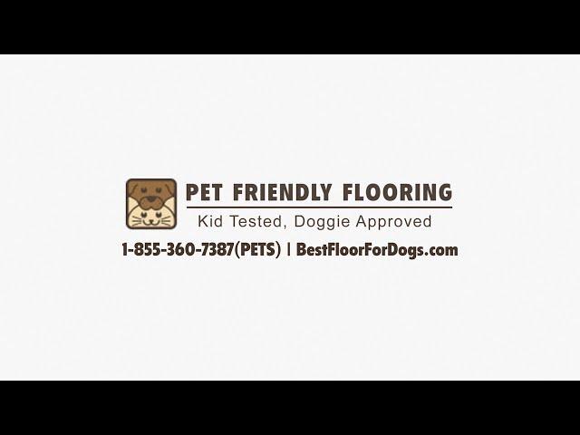 Best Flooring For Dogs - Pet Friendly Flooring - Best Flooring For Dogs