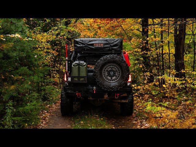 CRAZY Overland Toyota Tacoma Build | Wild & Free Overland 2018 Toyota Tacoma TRD Pro Walk Around