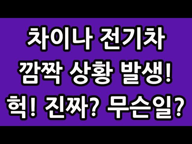 차이나 전기차 SOLACTIVE 주식 주가 전망 타이거 TIGER 중국 ETF 비야디 테슬라 니콜라 루시드 엔비디아 아이온큐 TQQQ SOXL TMF 괜찮네 정말!