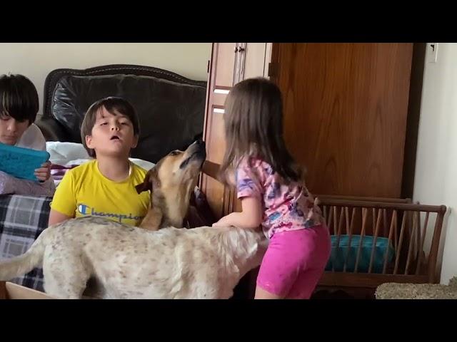 Singing with dogs