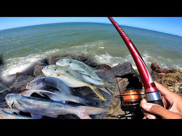 NÃO DAVA TEMPO, ERA UMA PANCADA ATRÁS DA OUTRA...tava lotado de PEIXE!!! Pescaria de costão.