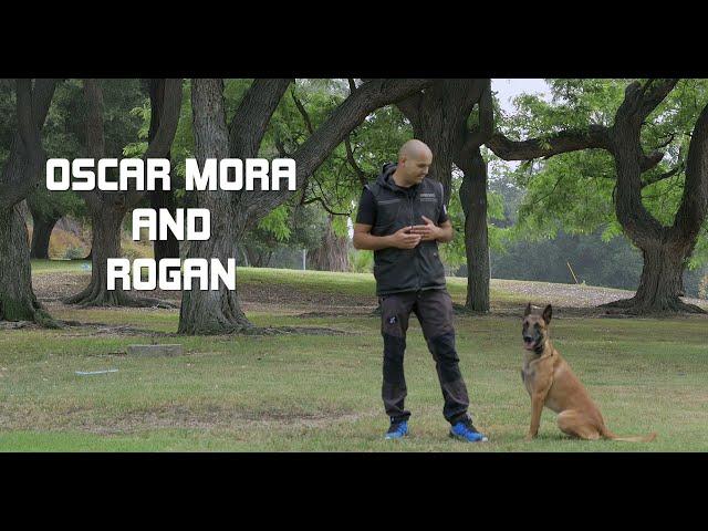 OSCAR MORA AND HIS INCREDIBLE MALINOIS, ROGAN!!!