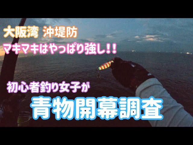 初心者釣りガールが沖堤防でショアジギ青物調査