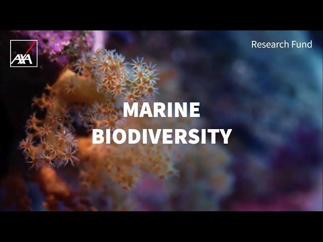 Marine Biodiversity: Helping Us to Learn and Adapt to Climate Change | AXA Research Fund