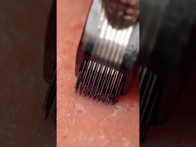 Tattoo needle stock Close Up in slow motion.#tattoo #tattooartist #shorts #viral #youtubeshorts #ink