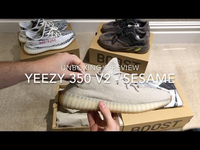 Adidas Yeezy Boost 350 V2 Sesame - Unboxing & Review