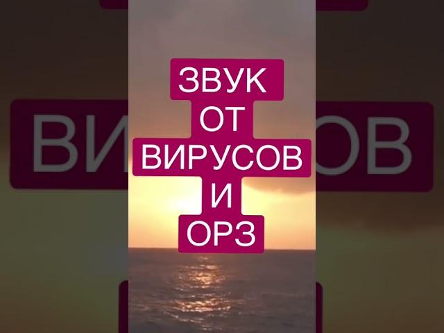 ЗВУК ОТ ВИРУСОВ И ОРЗ  Сидхисаунд Дуйко