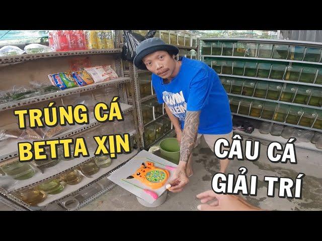 Trở về tuổi thơ với trò chơi câu cá giải trí cùng ông chủ trại cá Betta