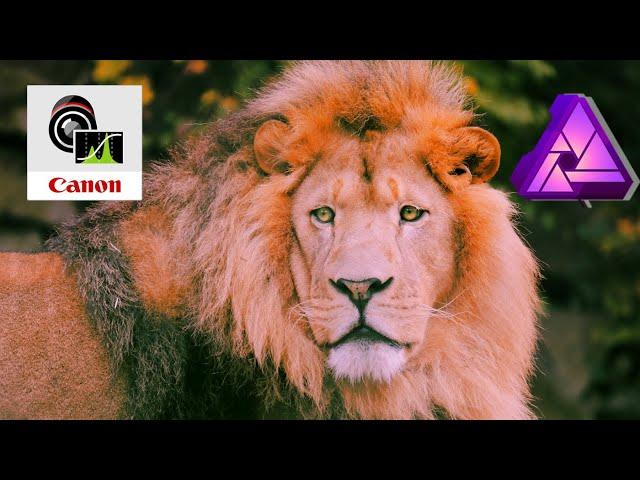  TUTORIAL | HOW TO USE CANON DPP 4 AND AFFINITY PHOTO TOGETHER | EDIT PHOTO EDIT CANON RAW.