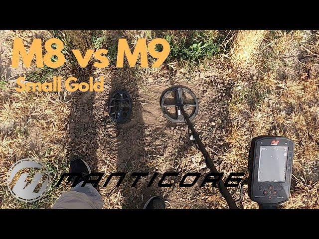 Minelab Manticore M8 vs M9 on Small Gold Nuggets