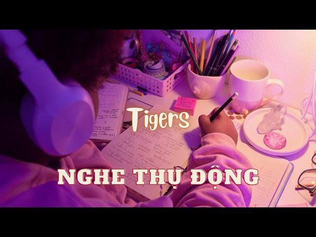 Tigers | Passive Listening  | Primary | Nghe tiếng Anh Thụ Động | All English 4U