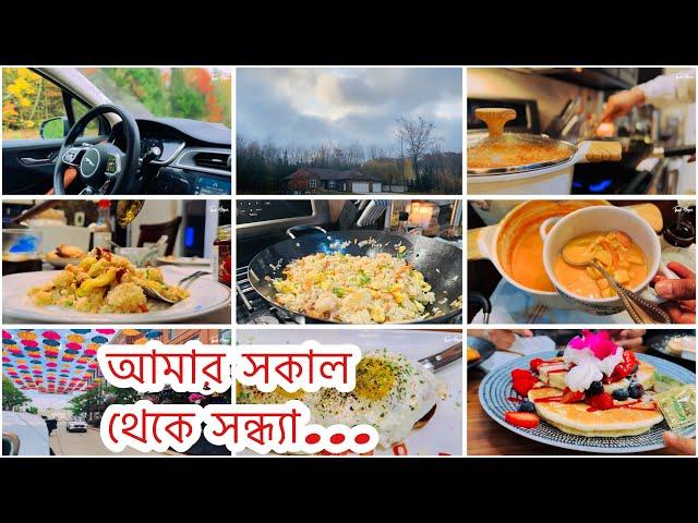 আমাদের সকাল থেকে সন্ধ্যা। ভীষণ মজার  ফ্রাইড রাইস রেসিপি ।   আমেরিকায় ছুটির দিন গুলোতে আমরা কি করি |