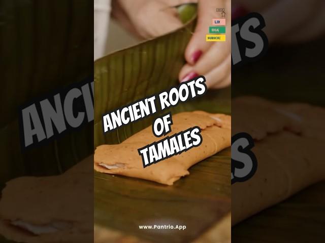 The ancient roots of tamales across Latin America. #tamale #tamalesmexicanos