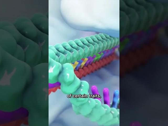 How CRISPR Gene Editing Works