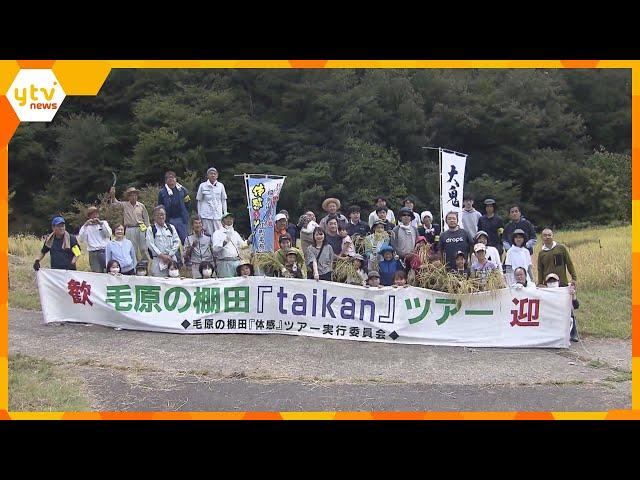 「日本の棚田百選」の景観を稲刈り体験で守る！京都・福知山市の「毛原の棚田」で開催　米は地酒に