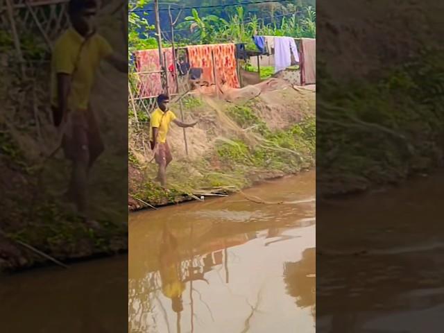 Catching fish | Village style |Assam #viralshorts  @FoodandMisQ