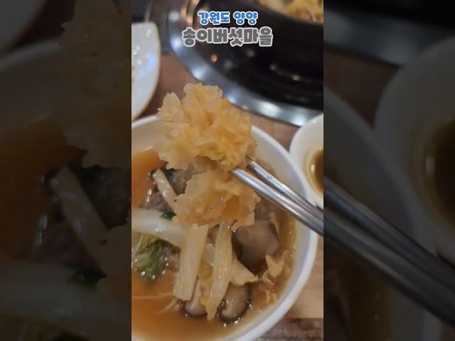 [ 송이버섯마을 ] 강원도 여행 맛집